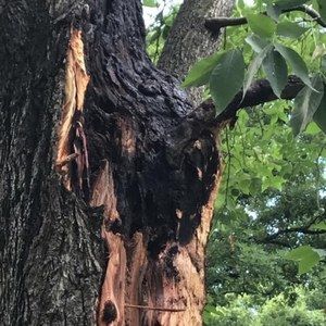 Meet your Posher, Jaime